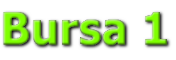 Bursa 1